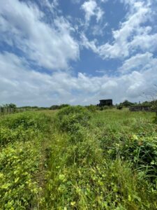 How to buy land in nigeria from abroad showing a picture of a plot of land in lagos shown by ATLAS Realtors