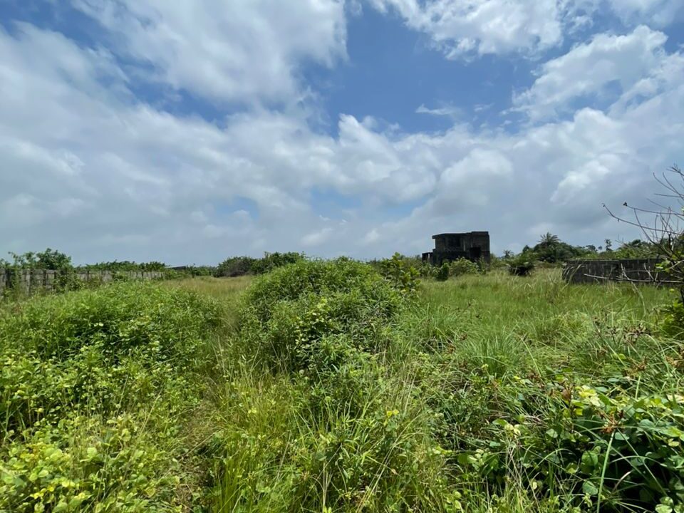 How to buy land in nigeria from abroad showing a picture of a plot of land in lagos shown by ATLAS Realtors